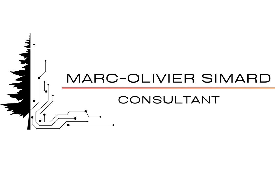 Marc-Olivier Simard, Consultant